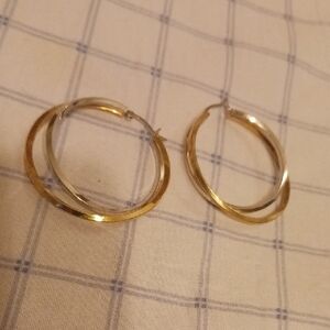 Elegant Gold Hoop Earrings